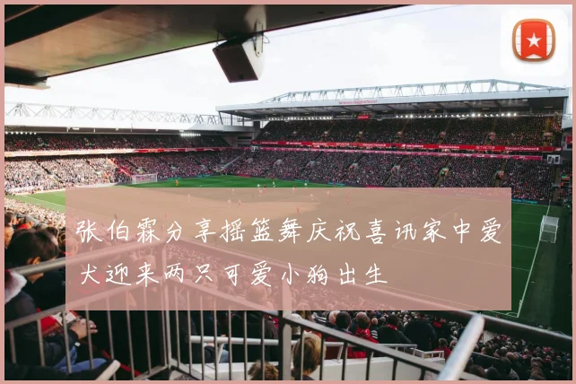 张伯霖分享摇篮舞庆祝喜讯家中爱犬迎来两只可爱小狗出生