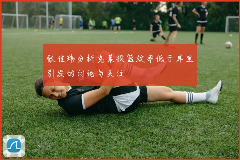 张佳玮分析克莱投篮效率低于库里引发的讨论与关注
